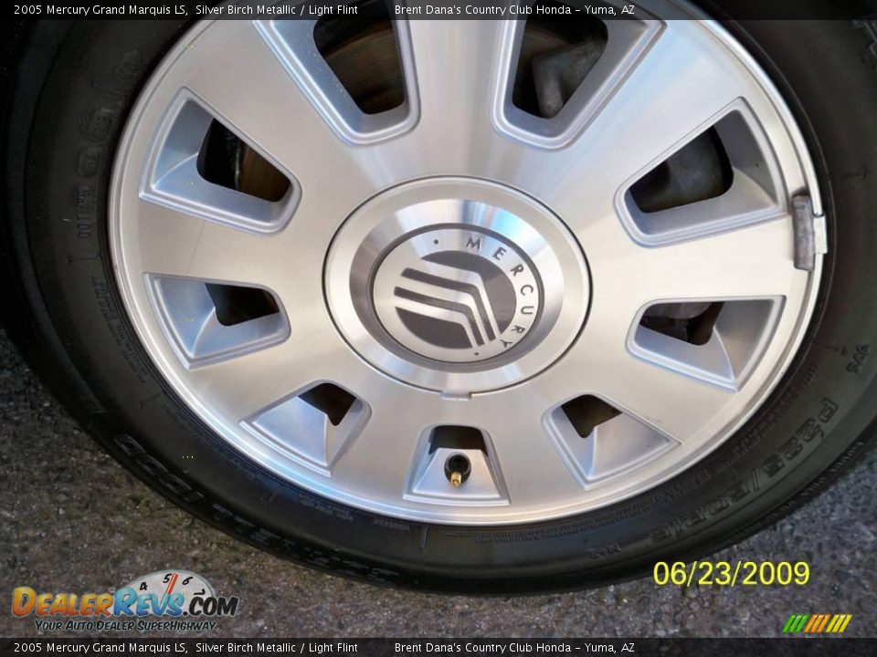 2005 Mercury Grand Marquis LS Silver Birch Metallic / Light Flint Photo #8