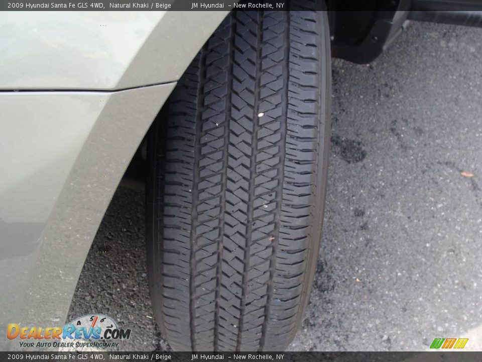 2009 Hyundai Santa Fe GLS 4WD Natural Khaki / Beige Photo #10
