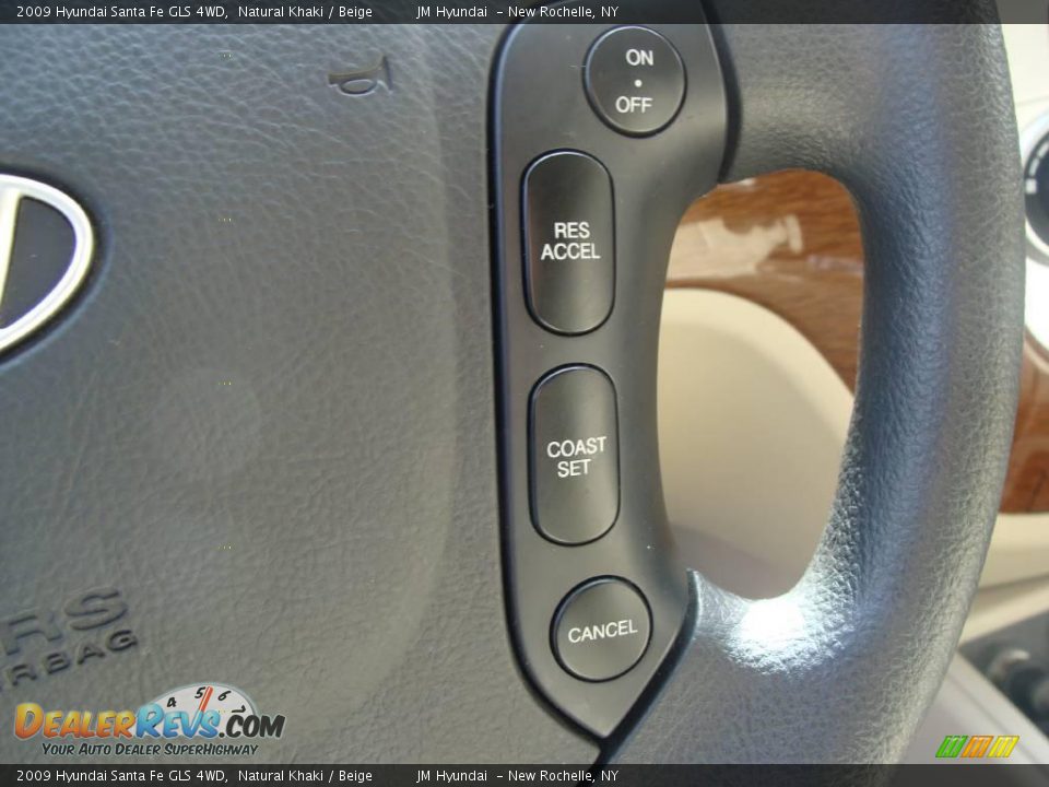 2009 Hyundai Santa Fe GLS 4WD Natural Khaki / Beige Photo #25