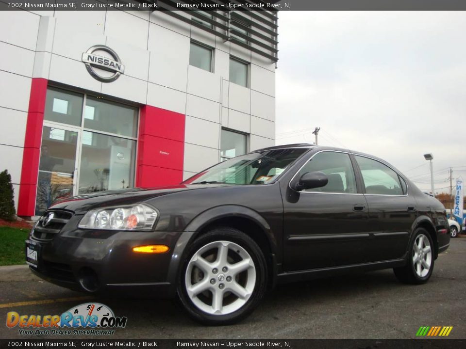 2002 Nissan Maxima SE Gray Lustre Metallic / Black Photo #4