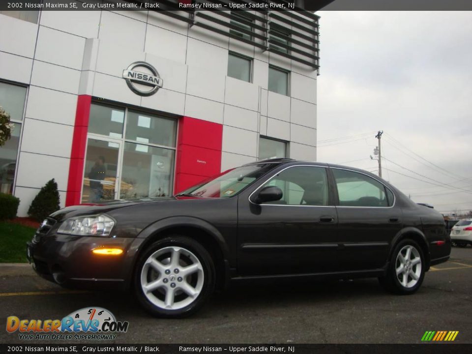 2002 Nissan Maxima SE Gray Lustre Metallic / Black Photo #5