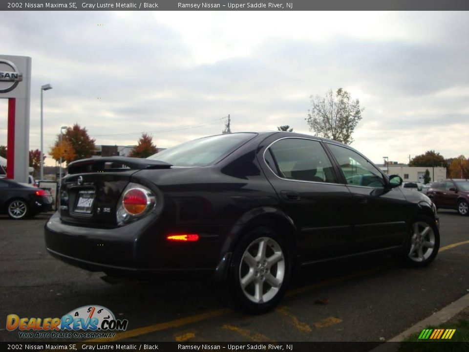2002 Nissan Maxima SE Gray Lustre Metallic / Black Photo #11