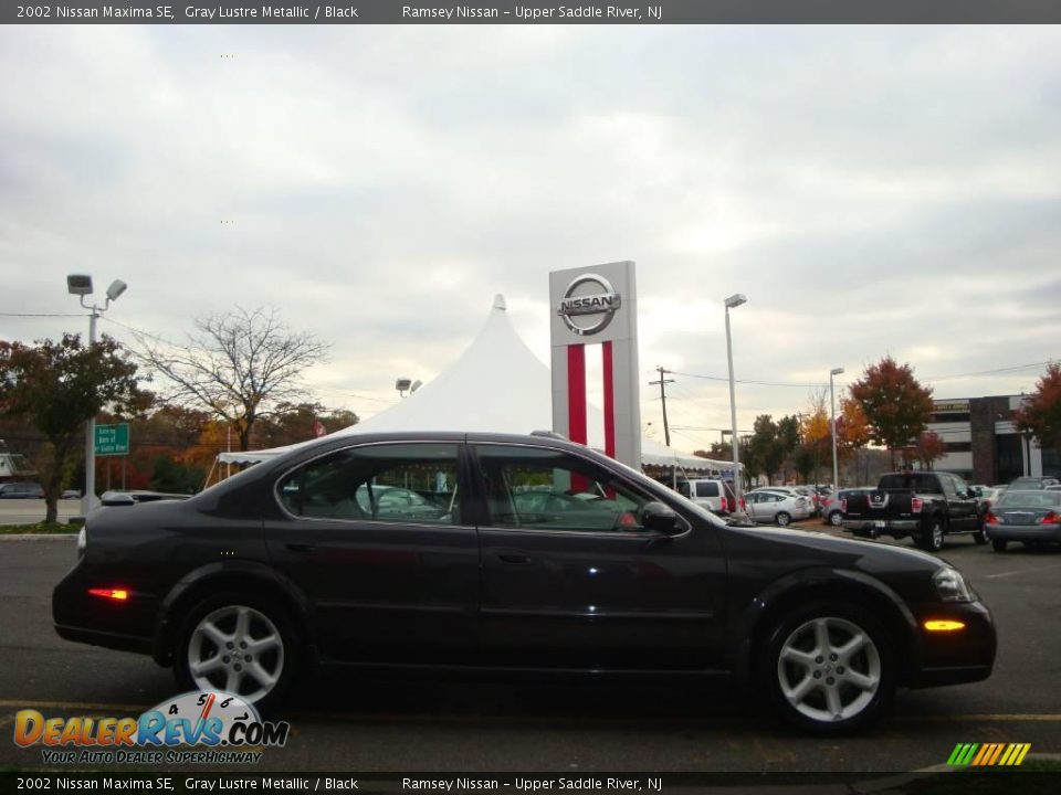 2002 Nissan Maxima SE Gray Lustre Metallic / Black Photo #12