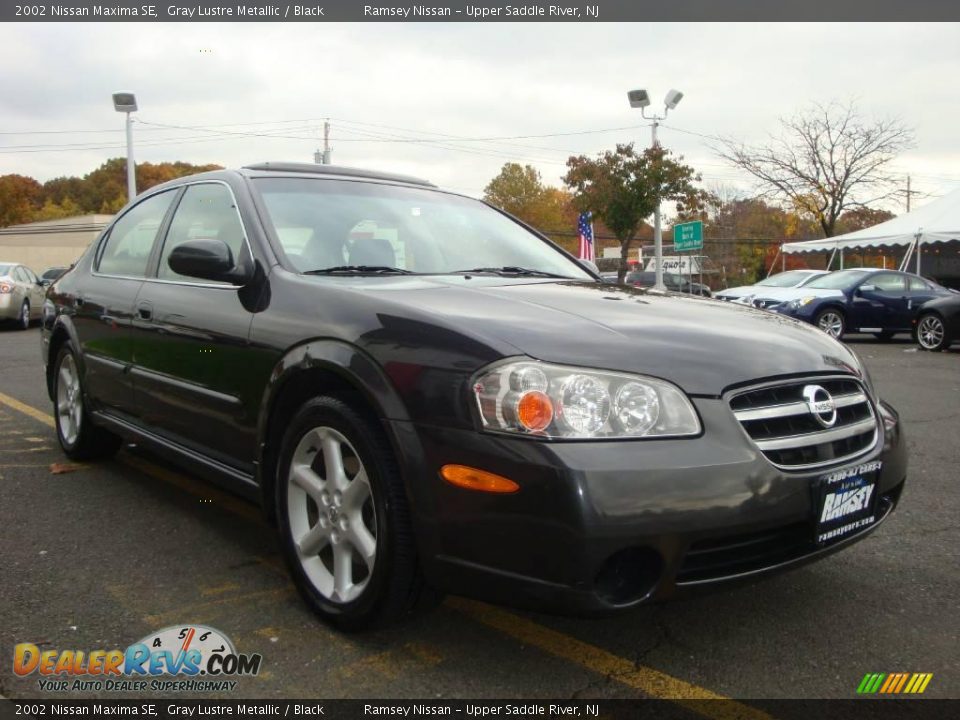 2002 Nissan Maxima SE Gray Lustre Metallic / Black Photo #14