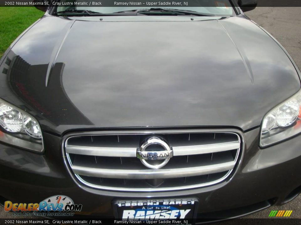 2002 Nissan Maxima SE Gray Lustre Metallic / Black Photo #15
