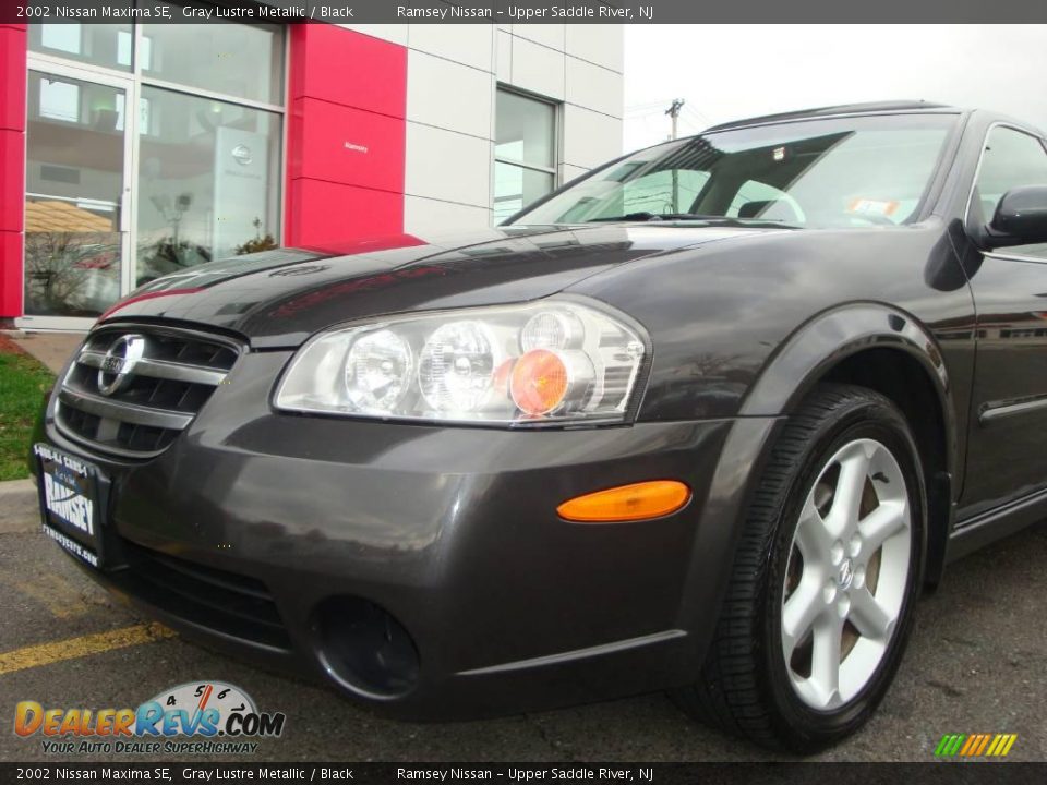 2002 Nissan Maxima SE Gray Lustre Metallic / Black Photo #16