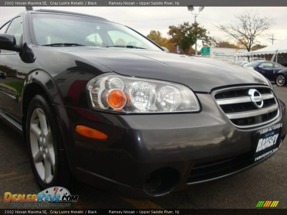 2002 Nissan Maxima SE Gray Lustre Metallic / Black Photo #22