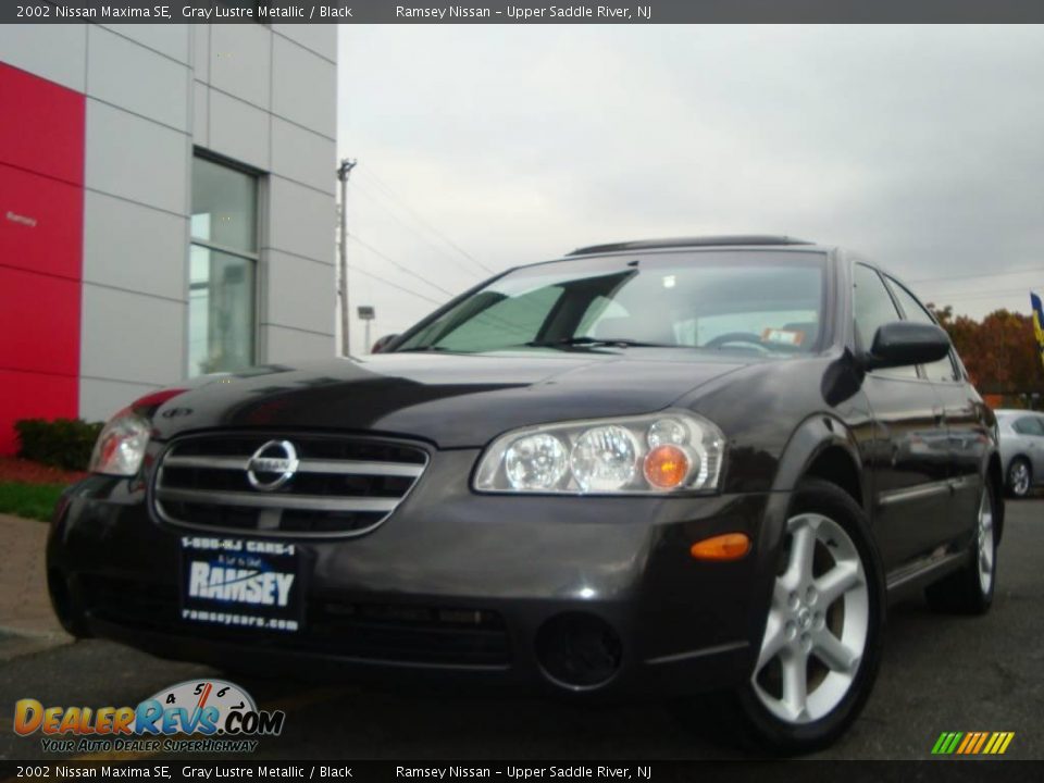 2002 Nissan Maxima SE Gray Lustre Metallic / Black Photo #24