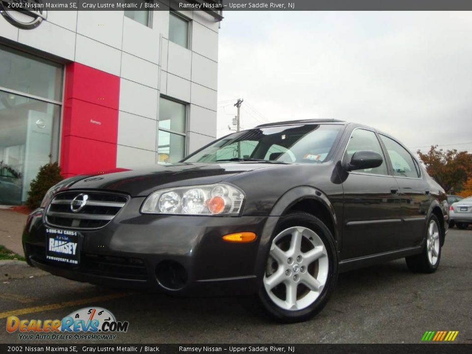 2002 Nissan Maxima SE Gray Lustre Metallic / Black Photo #25