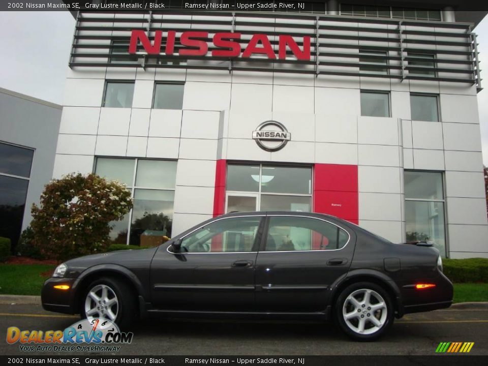 2002 Nissan Maxima SE Gray Lustre Metallic / Black Photo #28