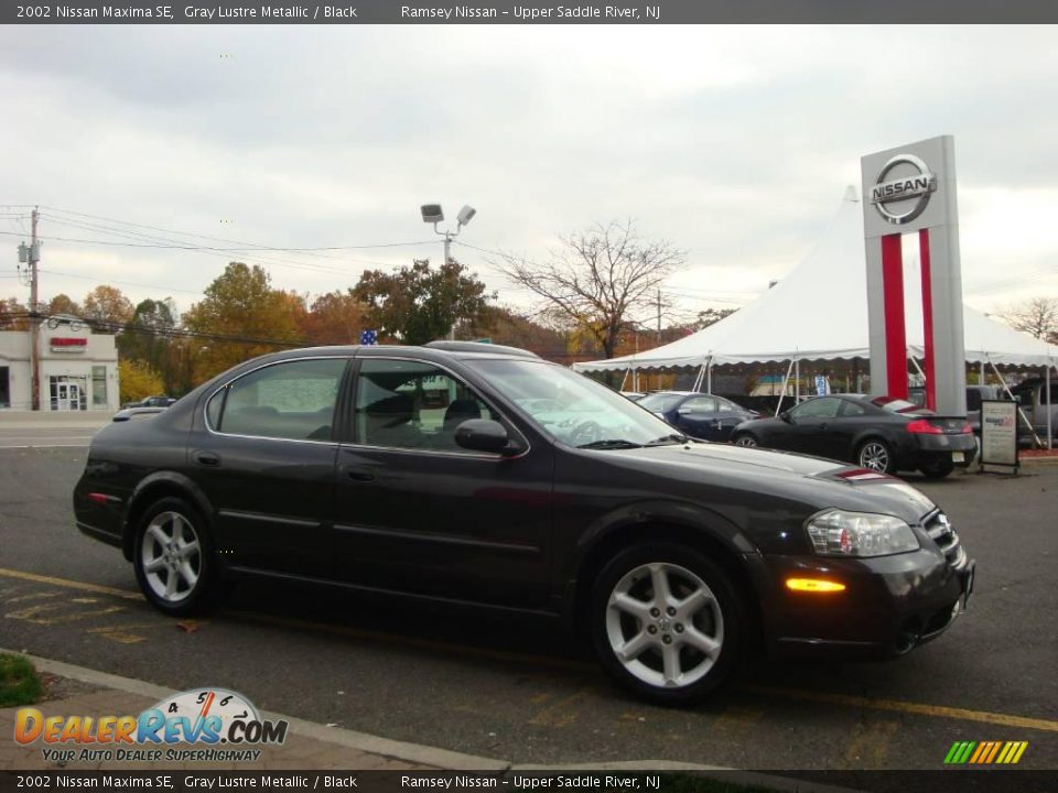 2002 Nissan Maxima SE Gray Lustre Metallic / Black Photo #35
