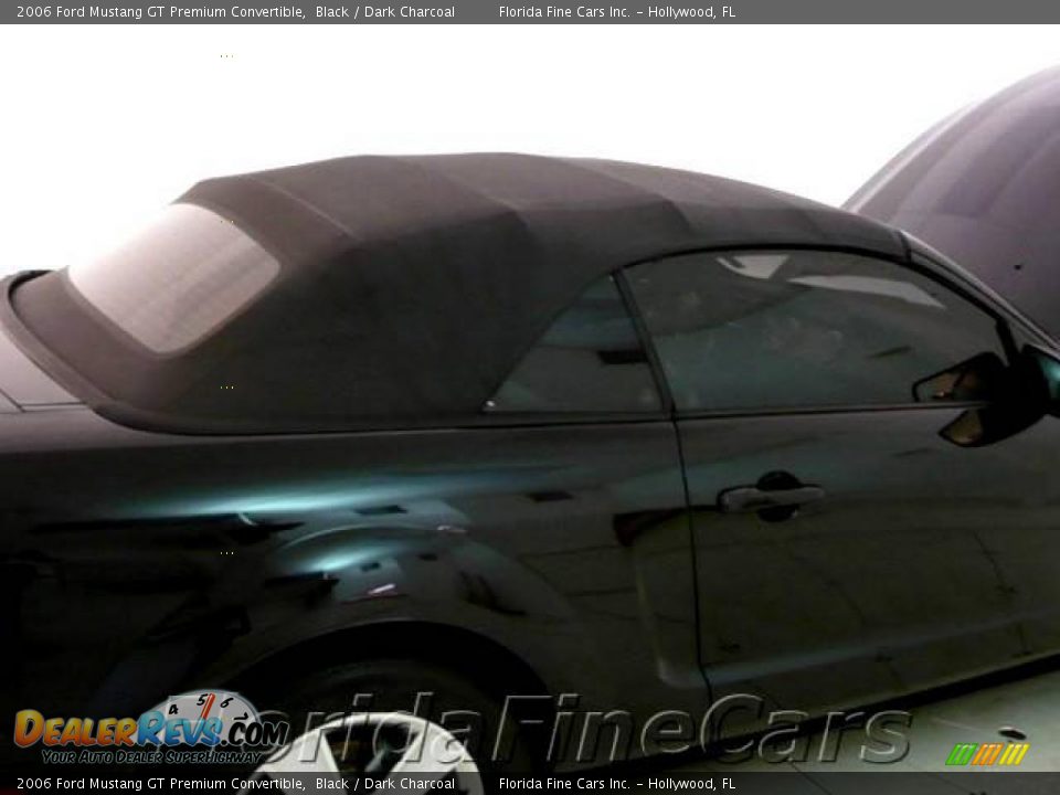 2006 Ford Mustang GT Premium Convertible Black / Dark Charcoal Photo #9