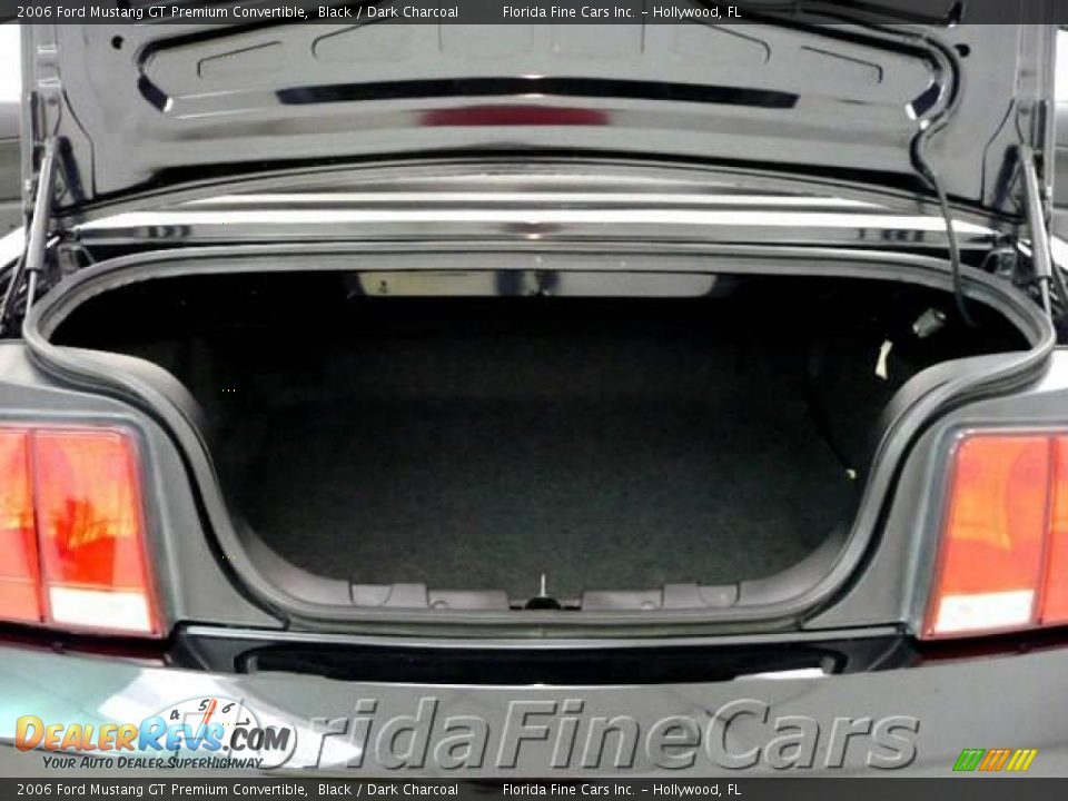 2006 Ford Mustang GT Premium Convertible Black / Dark Charcoal Photo #11