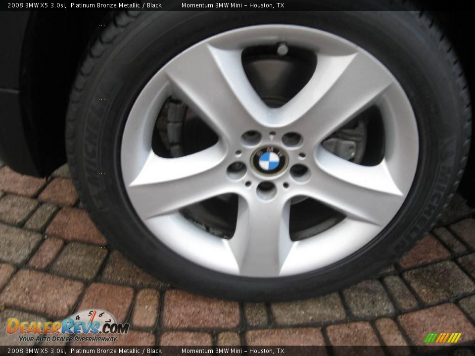 2008 BMW X5 3.0si Platinum Bronze Metallic / Black Photo #4