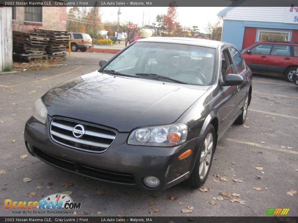 2003 Nissan Maxima GLE Gray Lustre / Frost Photo #1