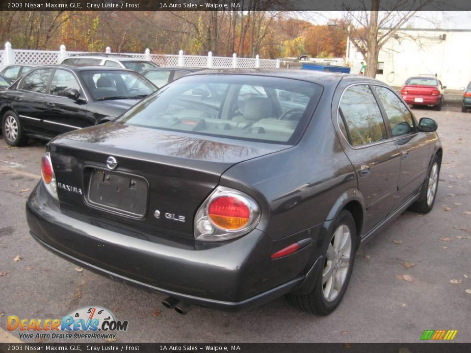 2003 Nissan Maxima GLE Gray Lustre / Frost Photo #2