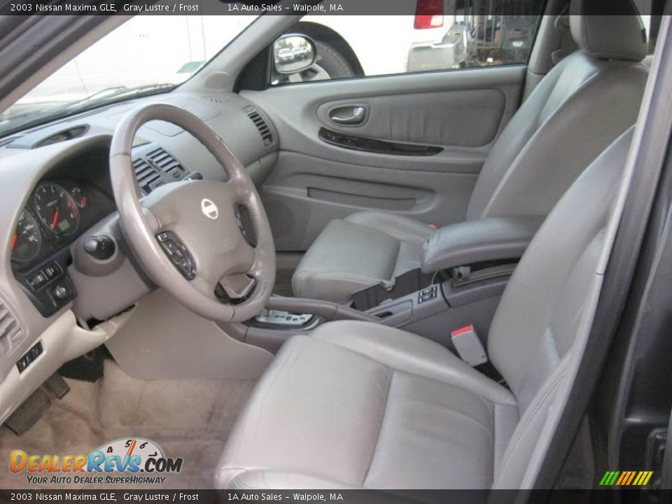 2003 Nissan Maxima GLE Gray Lustre / Frost Photo #3