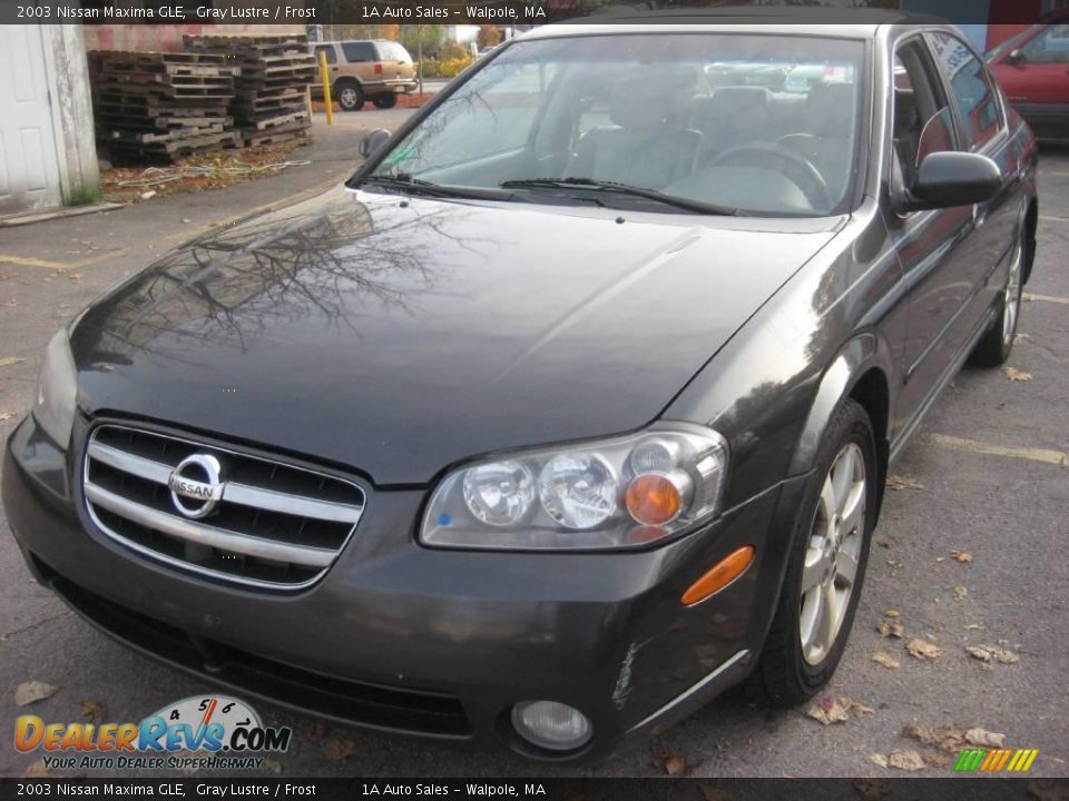 2003 Nissan Maxima GLE Gray Lustre / Frost Photo #7