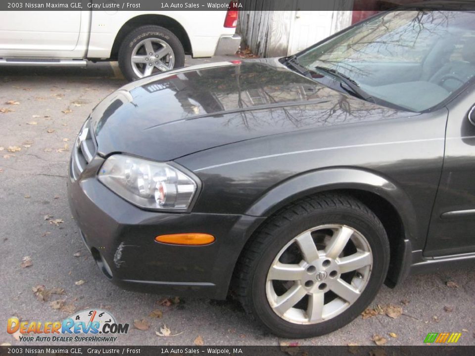 2003 Nissan Maxima GLE Gray Lustre / Frost Photo #8