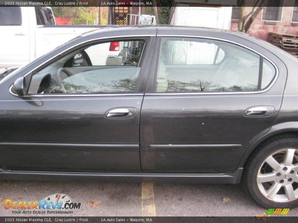 2003 Nissan Maxima GLE Gray Lustre / Frost Photo #9