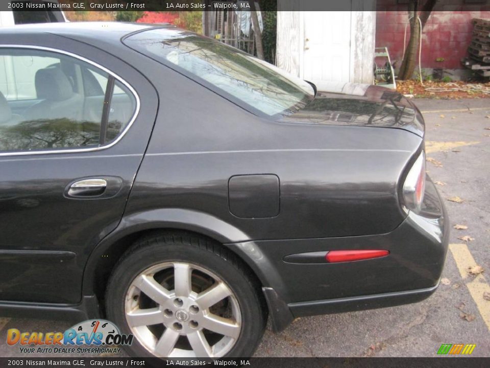 2003 Nissan Maxima GLE Gray Lustre / Frost Photo #10