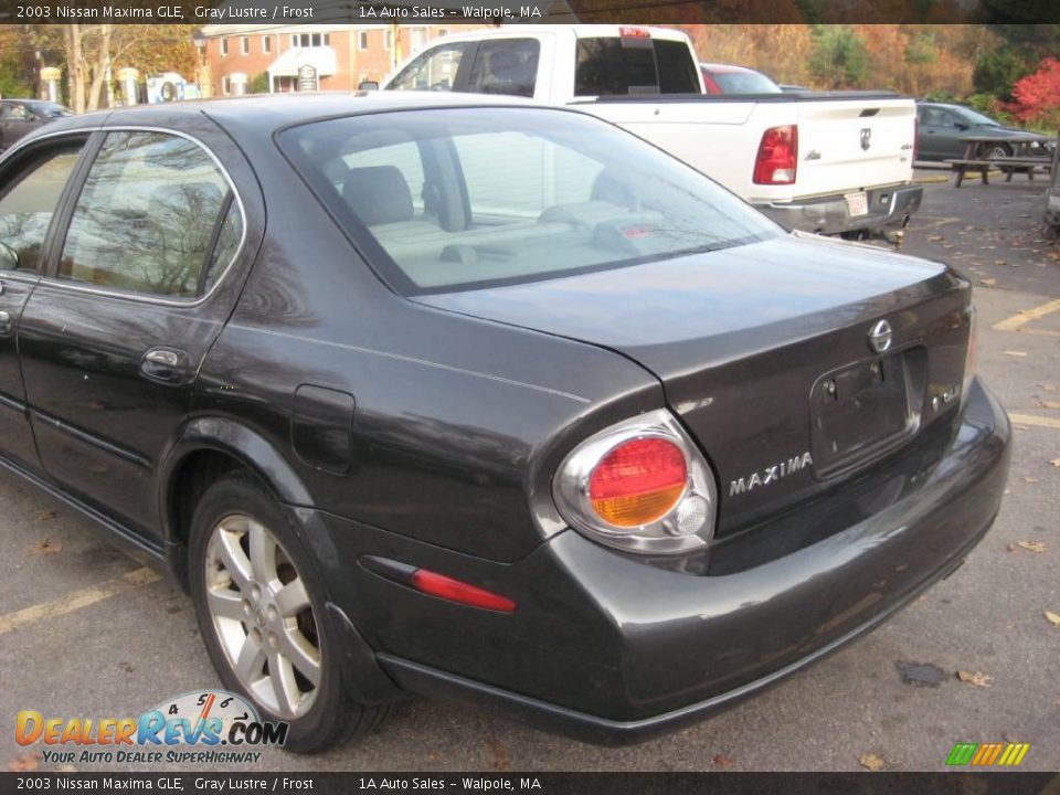 2003 Nissan Maxima GLE Gray Lustre / Frost Photo #11