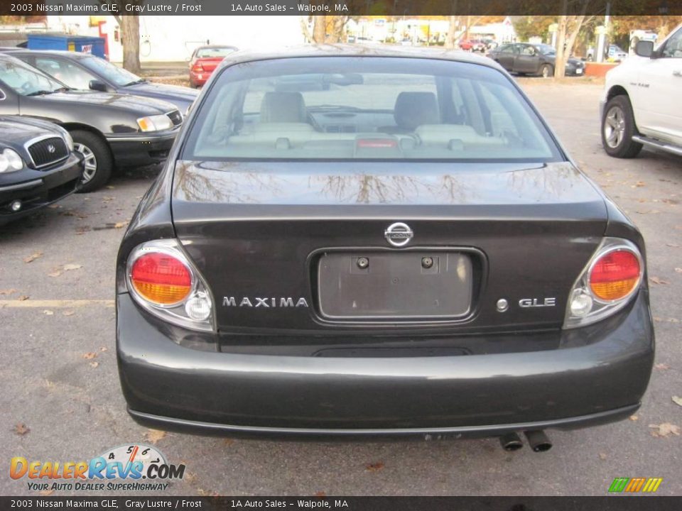 2003 Nissan Maxima GLE Gray Lustre / Frost Photo #12