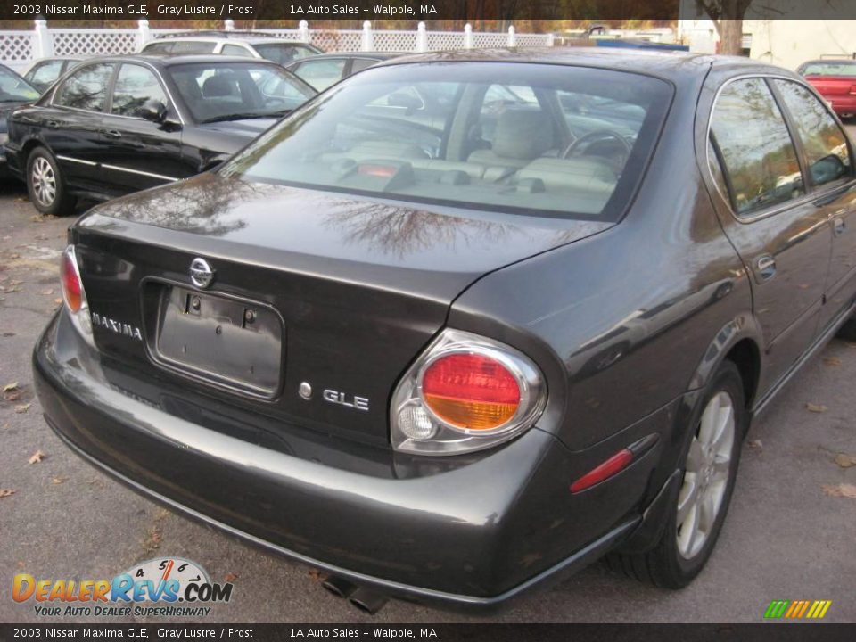 2003 Nissan Maxima GLE Gray Lustre / Frost Photo #13