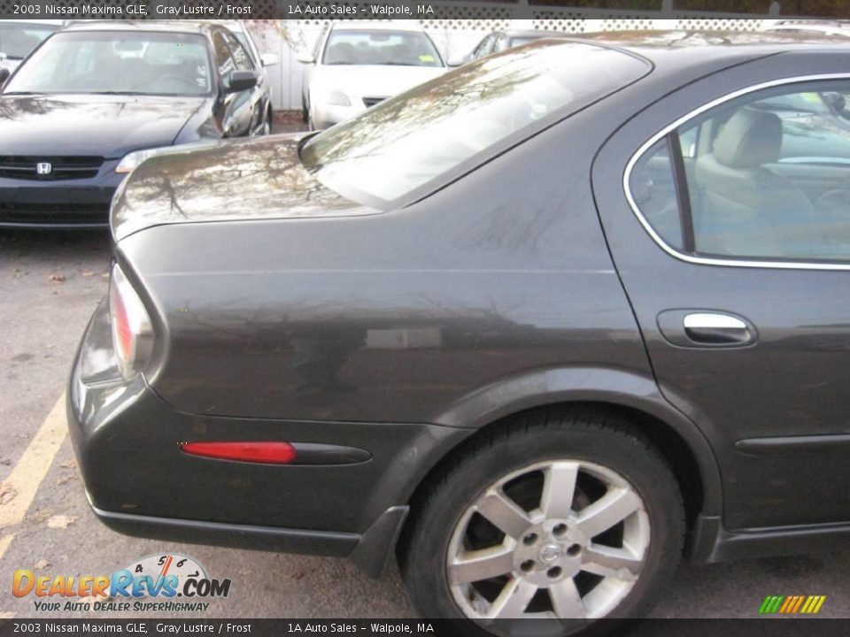 2003 Nissan Maxima GLE Gray Lustre / Frost Photo #14