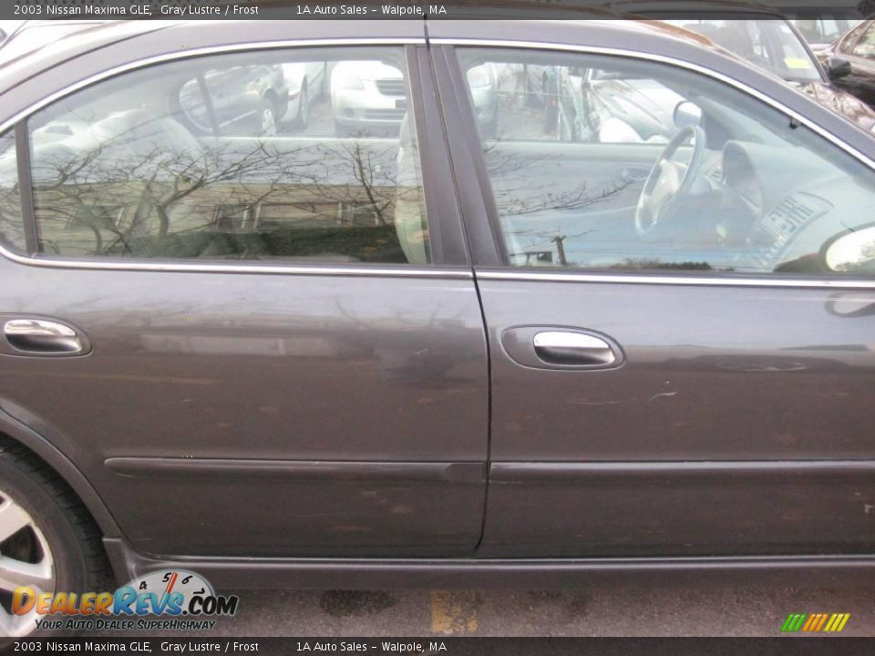 2003 Nissan Maxima GLE Gray Lustre / Frost Photo #15