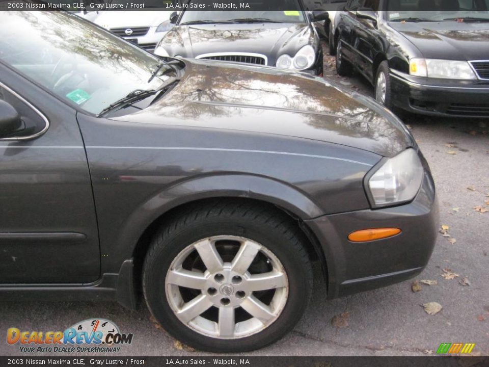 2003 Nissan Maxima GLE Gray Lustre / Frost Photo #16