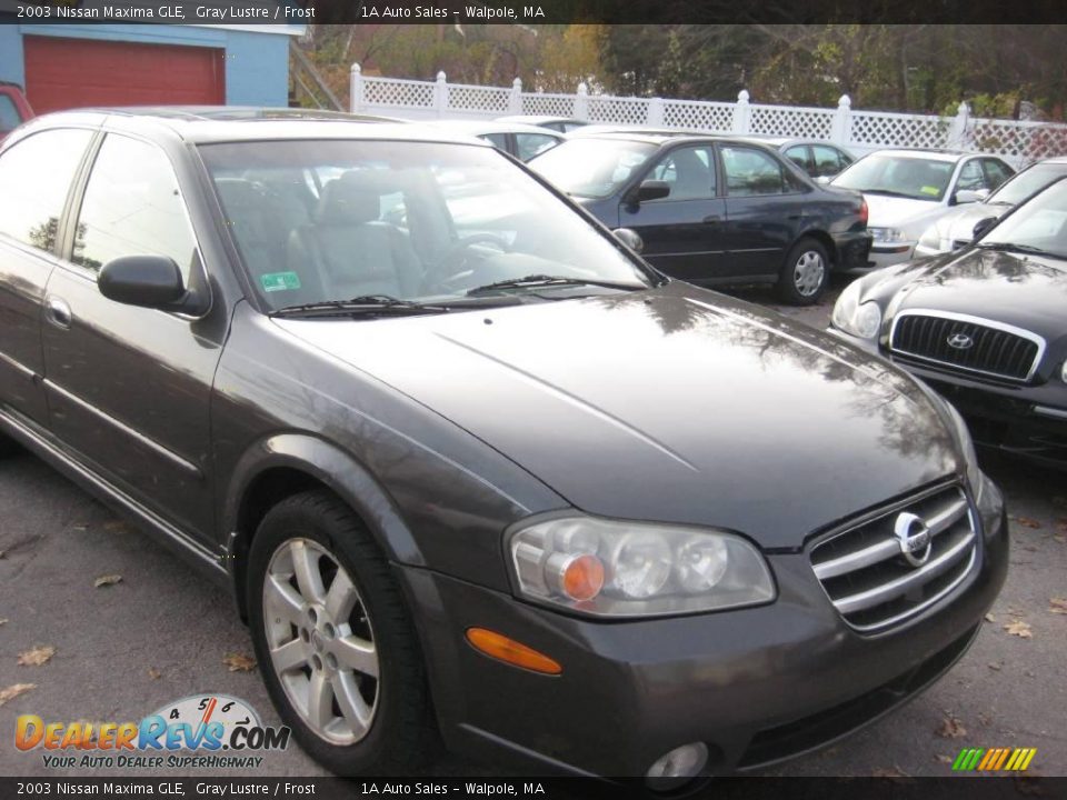 2003 Nissan Maxima GLE Gray Lustre / Frost Photo #17
