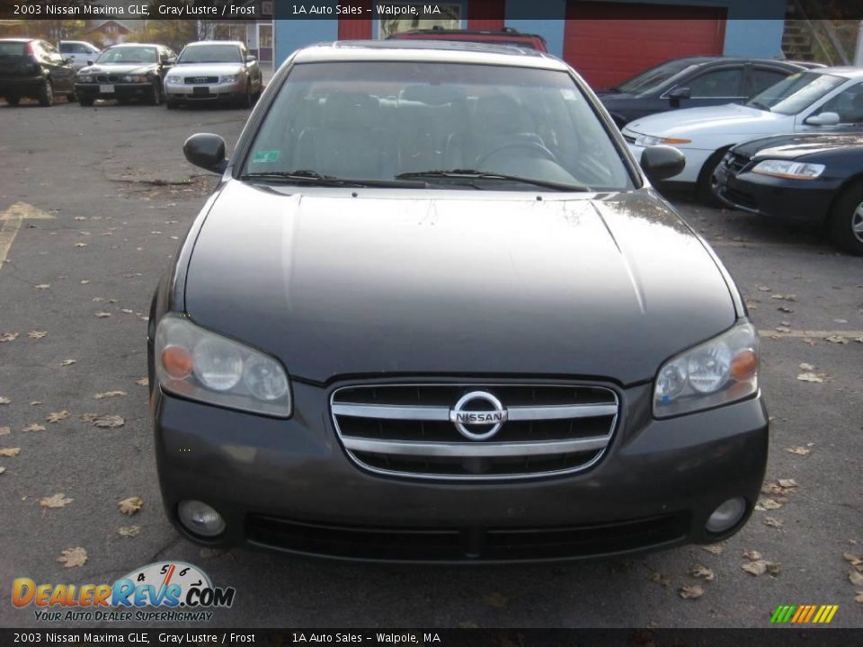 2003 Nissan Maxima GLE Gray Lustre / Frost Photo #18