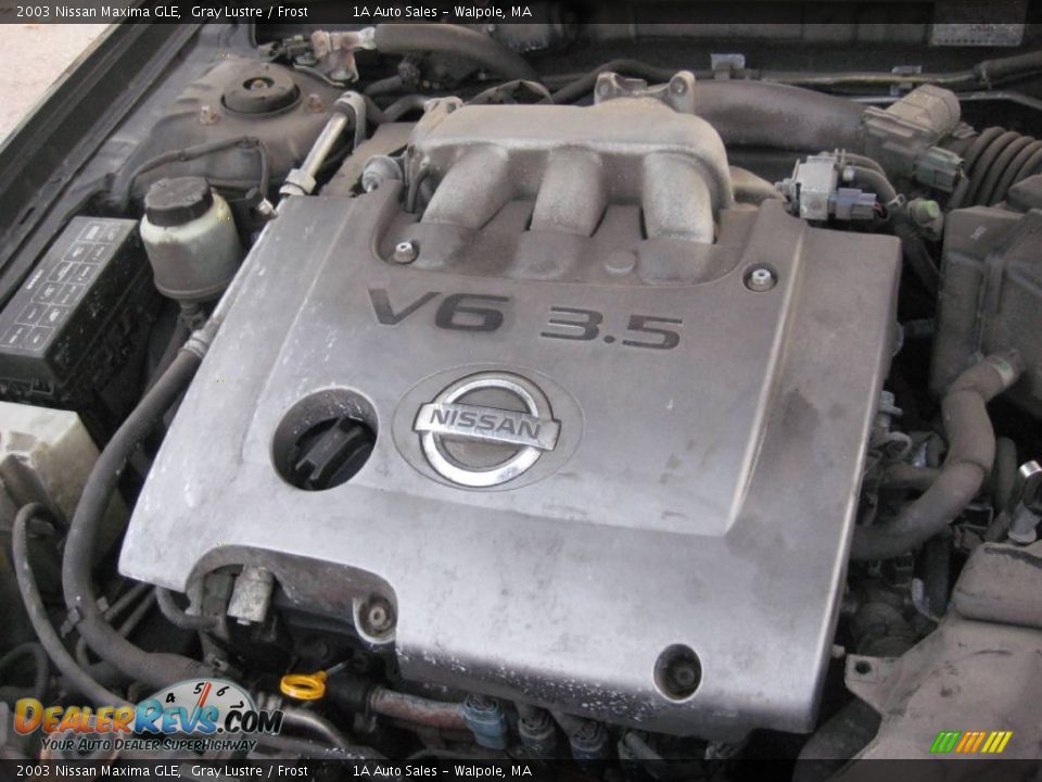 2003 Nissan Maxima GLE Gray Lustre / Frost Photo #19