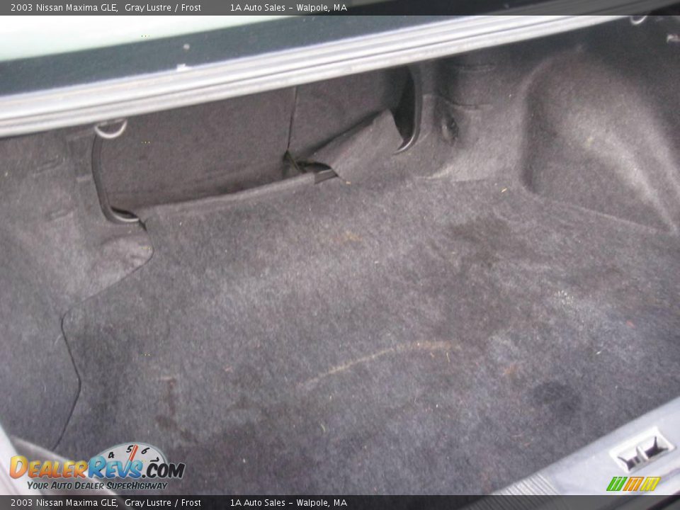 2003 Nissan Maxima GLE Gray Lustre / Frost Photo #20