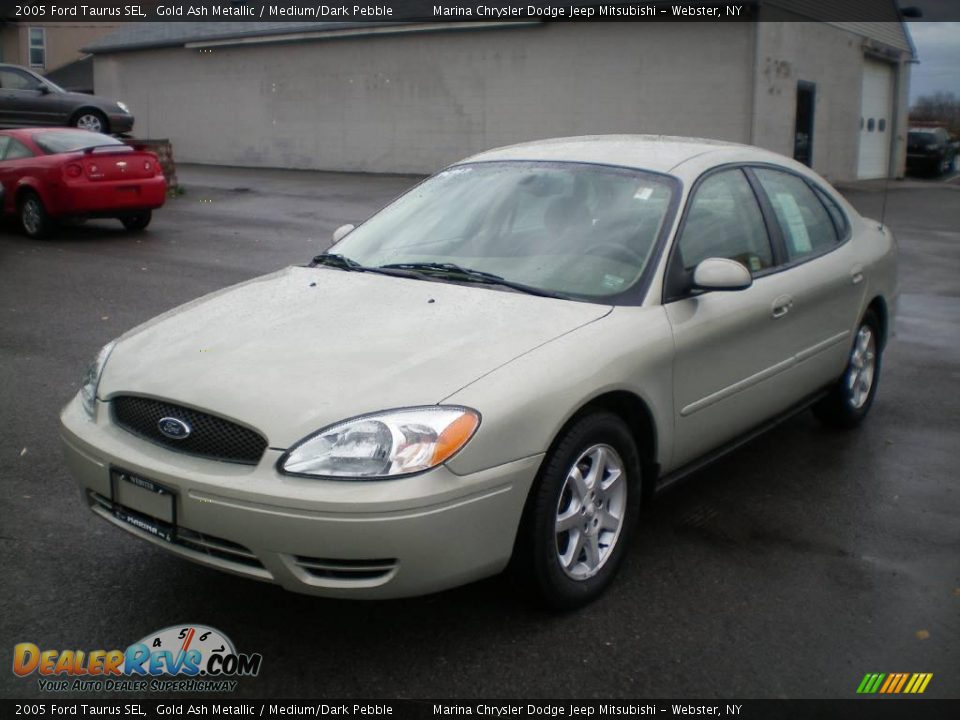 2005 Ford Taurus SEL Gold Ash Metallic / Medium/Dark Pebble Photo #1