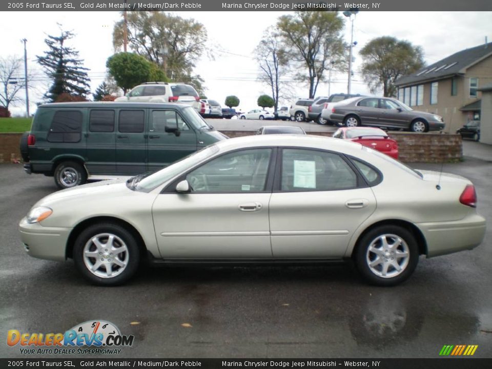 2005 Ford Taurus SEL Gold Ash Metallic / Medium/Dark Pebble Photo #6