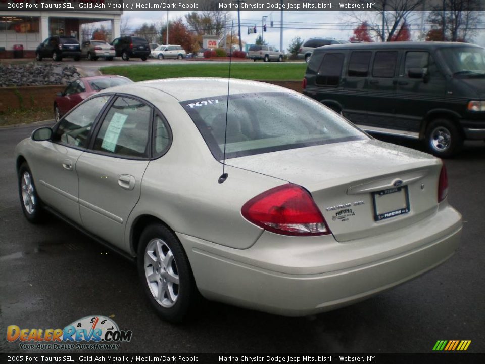 2005 Ford Taurus SEL Gold Ash Metallic / Medium/Dark Pebble Photo #7