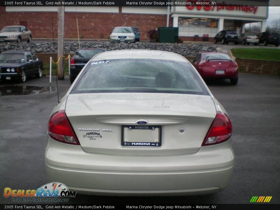 2005 Ford Taurus SEL Gold Ash Metallic / Medium/Dark Pebble Photo #8