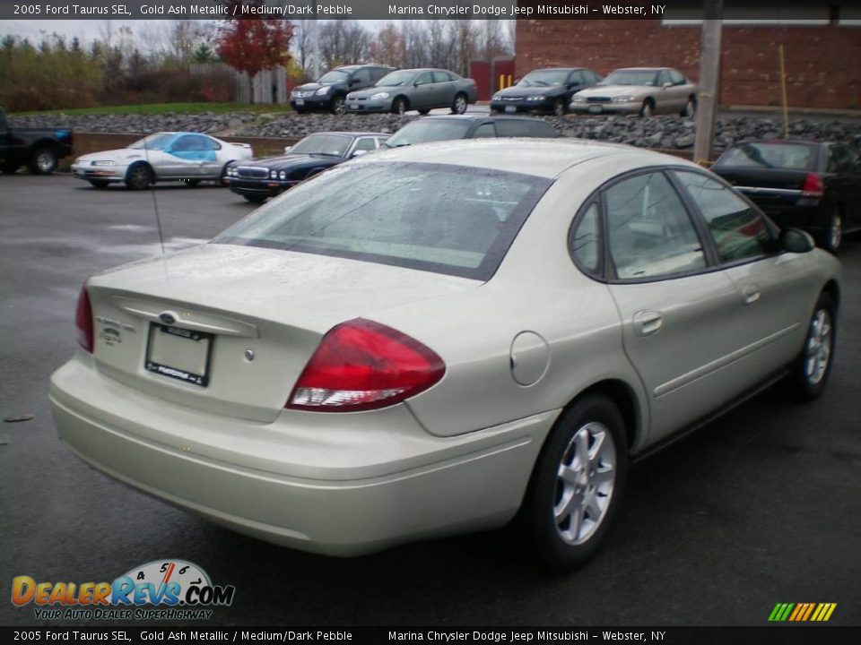 2005 Ford Taurus SEL Gold Ash Metallic / Medium/Dark Pebble Photo #9
