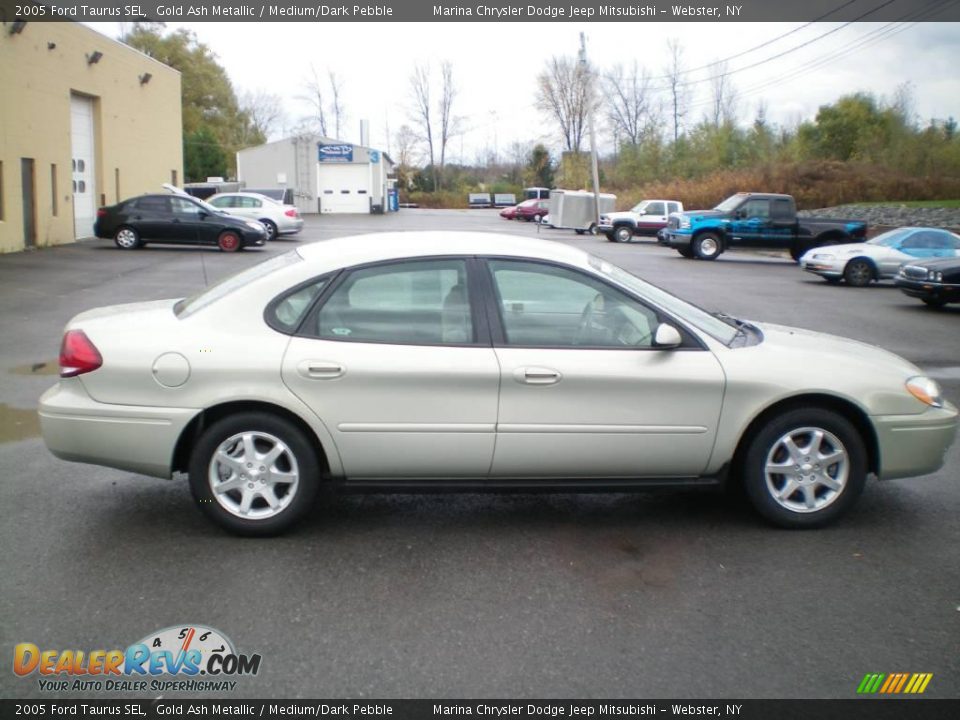 2005 Ford Taurus SEL Gold Ash Metallic / Medium/Dark Pebble Photo #10