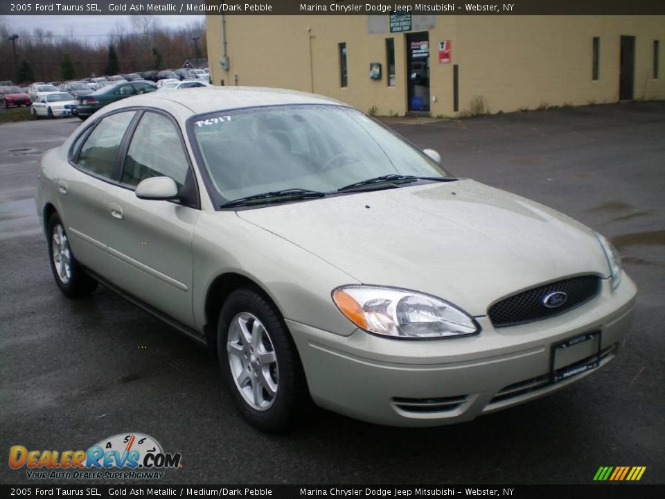 2005 Ford Taurus SEL Gold Ash Metallic / Medium/Dark Pebble Photo #11