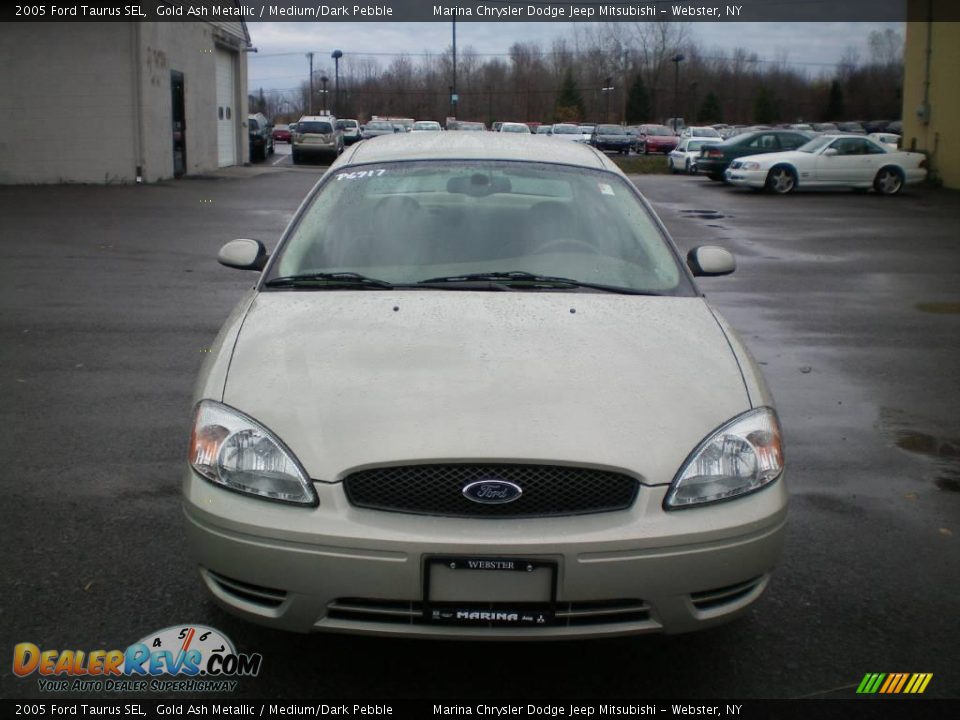 2005 Ford Taurus SEL Gold Ash Metallic / Medium/Dark Pebble Photo #12
