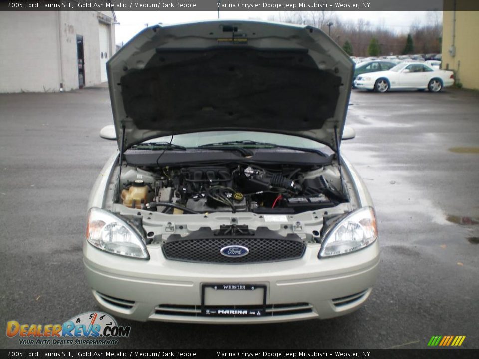 2005 Ford Taurus SEL Gold Ash Metallic / Medium/Dark Pebble Photo #13