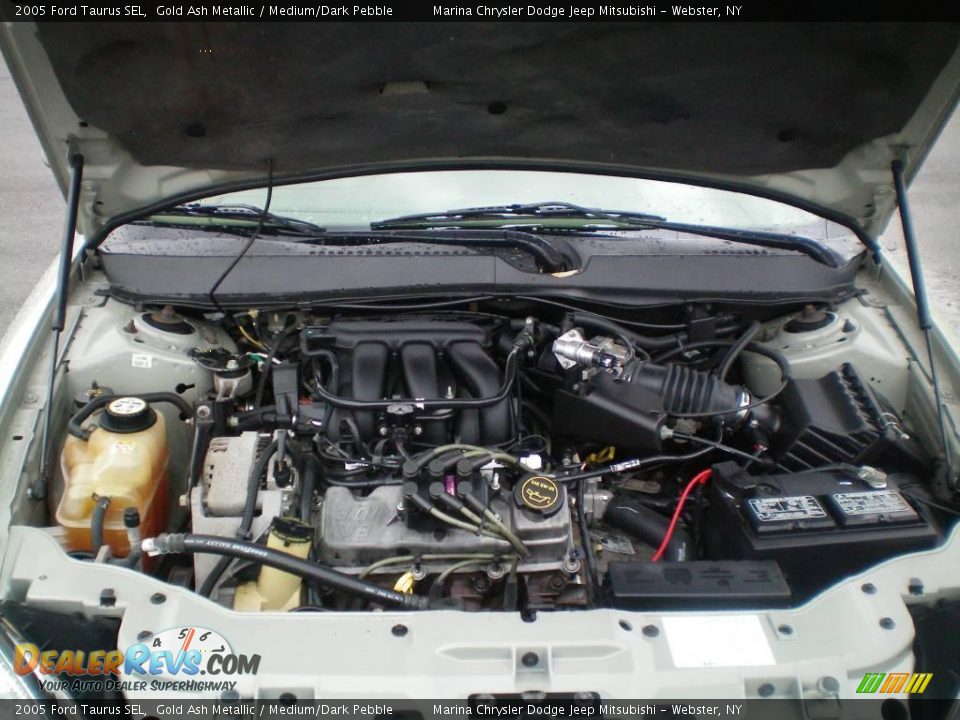 2005 Ford Taurus SEL Gold Ash Metallic / Medium/Dark Pebble Photo #14