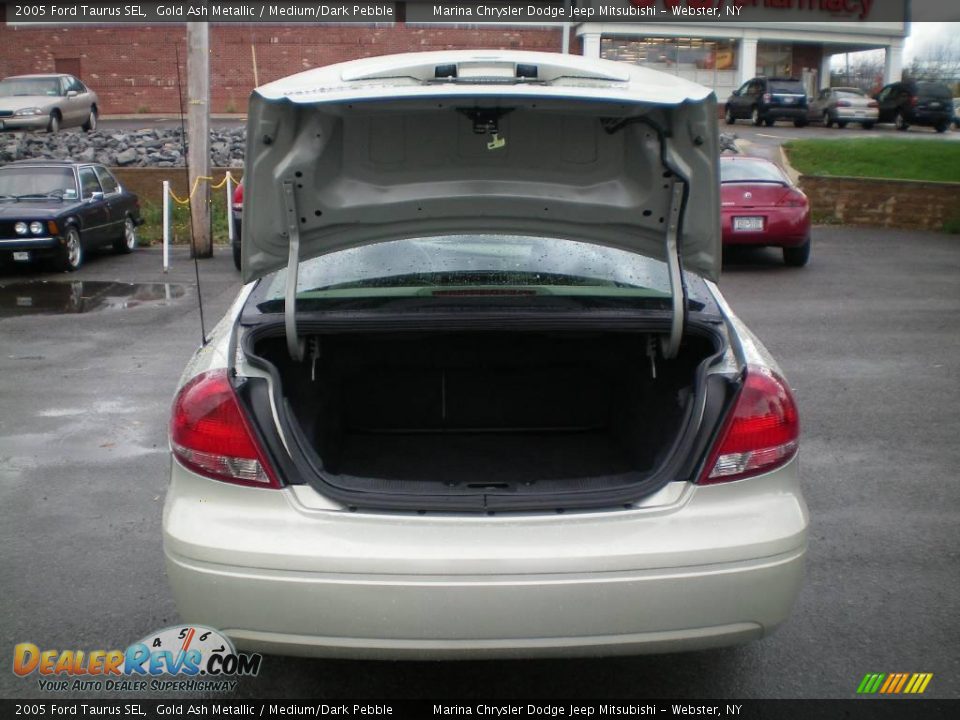2005 Ford Taurus SEL Gold Ash Metallic / Medium/Dark Pebble Photo #17