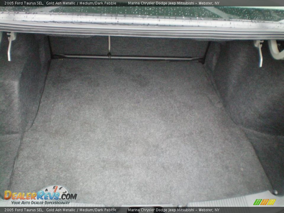 2005 Ford Taurus SEL Gold Ash Metallic / Medium/Dark Pebble Photo #18