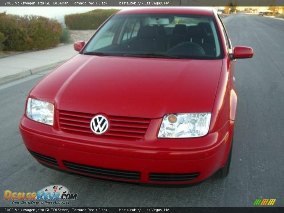 2003 Volkswagen Jetta GL TDI Sedan Tornado Red / Black Photo #3
