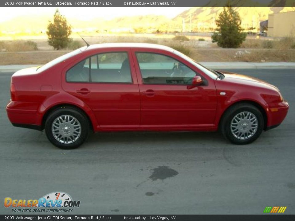 2003 Volkswagen Jetta GL TDI Sedan Tornado Red / Black Photo #6