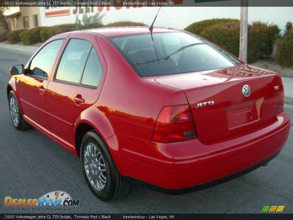 2003 Volkswagen Jetta GL TDI Sedan Tornado Red / Black Photo #9